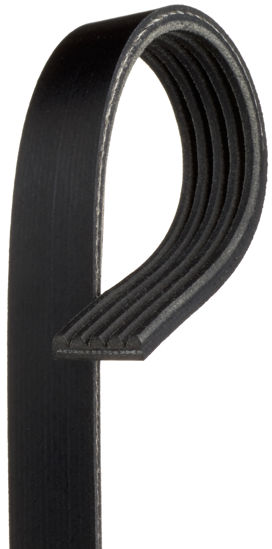 Picture of 5K264SF Stretch Fit Serpentine Belt  BY ACDelco