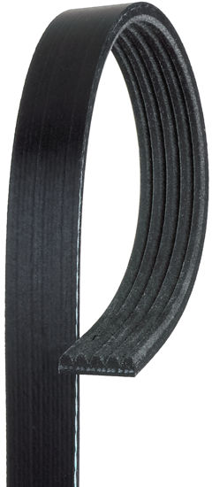 Picture of 5K345 Standard Serpentine Belt  BY ACDelco