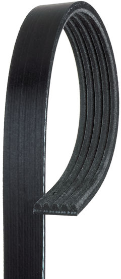 Picture of 5K402 Standard Serpentine Belt  BY ACDelco