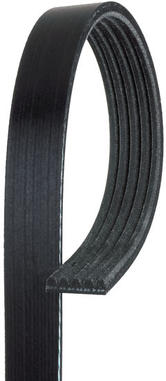 Picture of 5K418 Standard Serpentine Belt  BY ACDelco