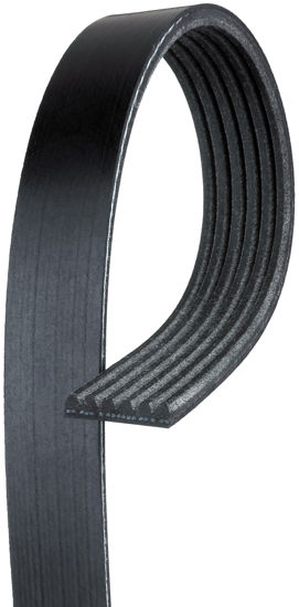 Picture of 6K1005 Standard Serpentine Belt  BY ACDelco