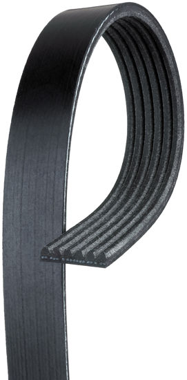 Picture of 6K1010 Standard Serpentine Belt  BY ACDelco