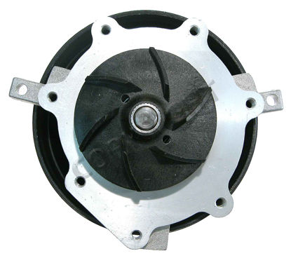 Picture of AW4099 Engine Water Pump  By AIRTEX AUTOMOTIVE DIVISION