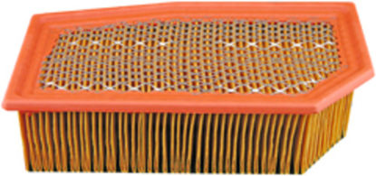 Picture of PA4171 Air Filter  By BALDWIN