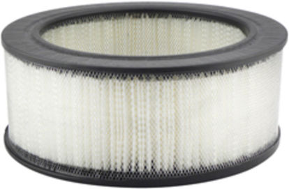 Picture of PA602 Air Filter  By BALDWIN