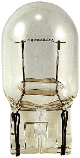 Picture of 7440 Standard Lamp - Boxed Back Up Light Bulb  By EIKO LTD