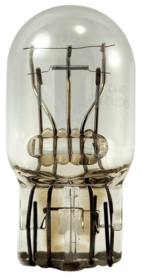 Picture of 7443 Standard Lamp - Boxed Tail Light Bulb  By EIKO LTD