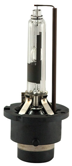 Picture of D2R Standard Lamp - Boxed Headlight Bulb  By EIKO LTD