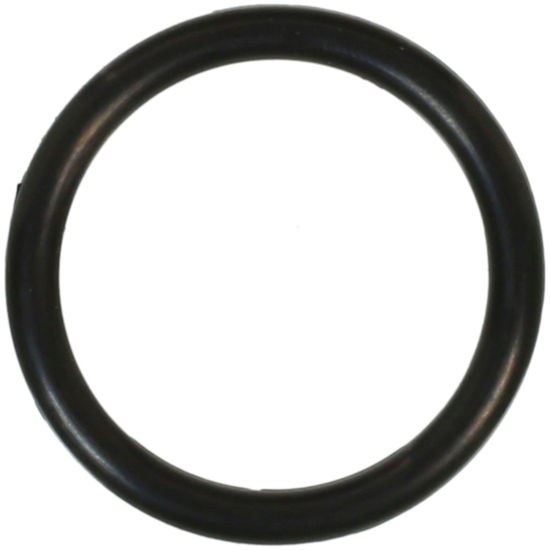 Picture of 420 Distributor O-Ring  By FELPRO