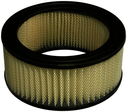 Picture of CA101 Extra Guard Air Filter  By FRAM