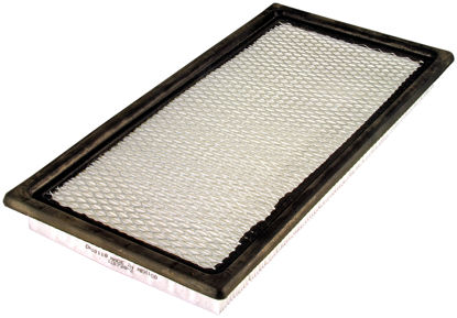 Picture of DA10118 Air Filter  By DEFENSE FILTERS