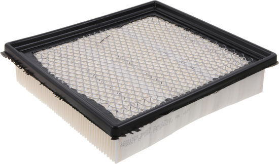 Picture of DA10755 Air Filter  By DEFENSE FILTERS