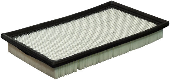 Picture of DA8221 Air Filter  By DEFENSE FILTERS