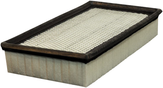 Picture of DA8925 Air Filter  By DEFENSE FILTERS