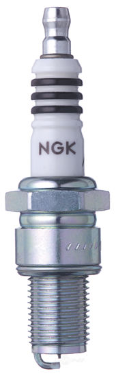 Picture of 3981 Iridium IX Spark Plug  By NGK