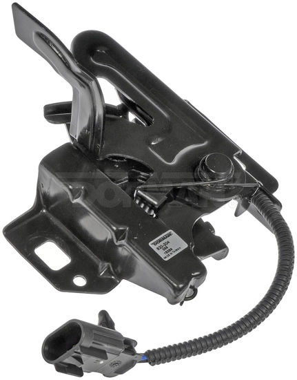 Picture of 820-204 Hood Latch Assembly  By DORMAN OE SOLUTIONS