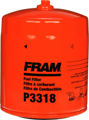 Picture of P3318  By FRAM