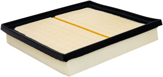 Picture of Baldwin Air Filter - PA10419